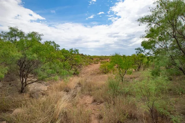 a view of a yard with a wooden wall