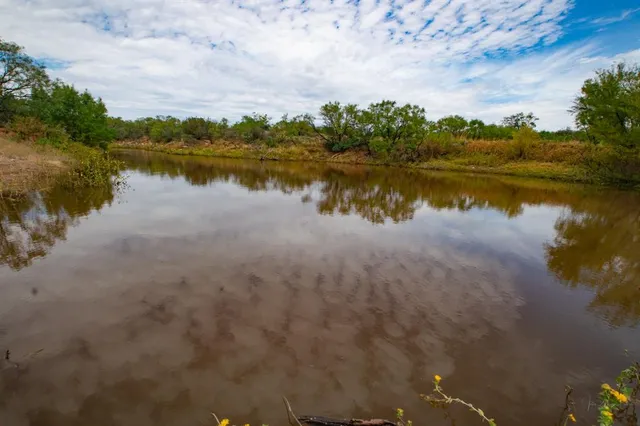 a view of yard with trees