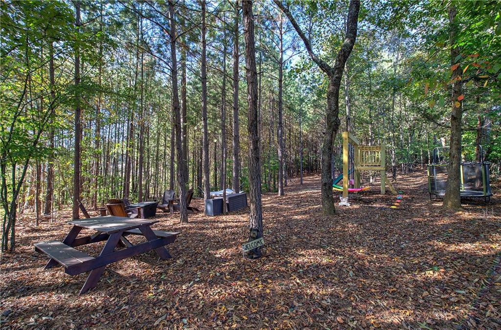 503 London Road Ball Ground, GA 30107 - Photo 48 of 55 a view of a backyard with a sitting area and couch