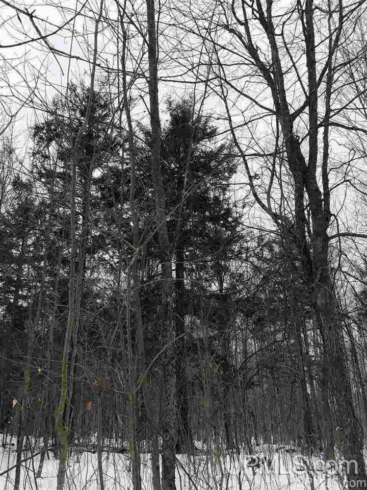 Tbd Off River Road, Unit 2 Hermansville, MI 49847 - Photo 34 of 34