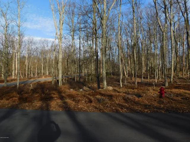 a view of a backyard of the house