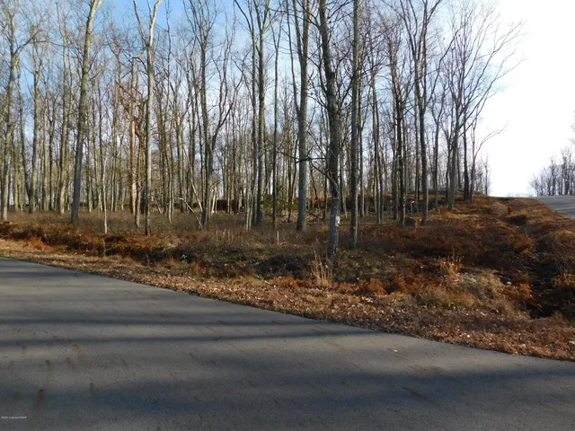 a view of a yard with large trees