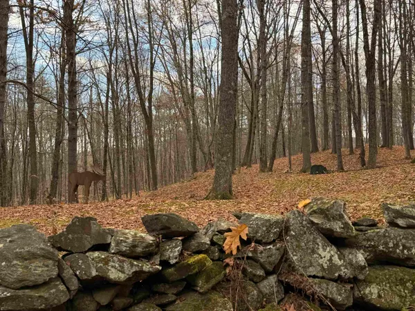$895,000 | 72 Oakridge Way, Woodstock, VT 05091