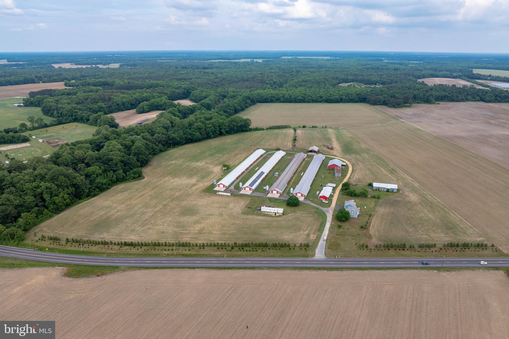 7347 Harmony Road Preston, MD 21655 - Photo 14 of 63 Aerial View of Farm & House