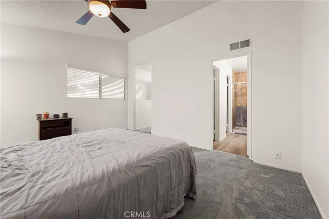 a view of a backyard with plants