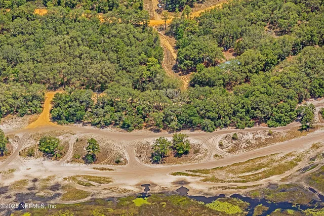 a view of a yard with a tree
