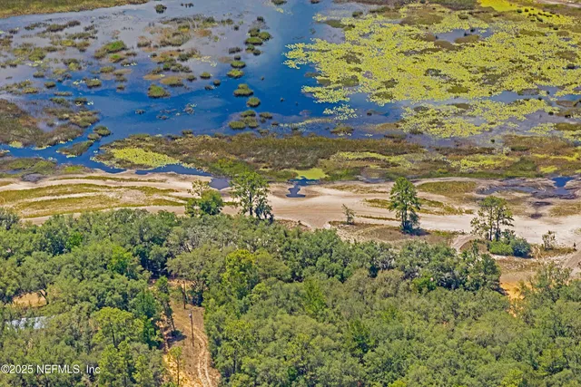 a view of a pathway with a yard