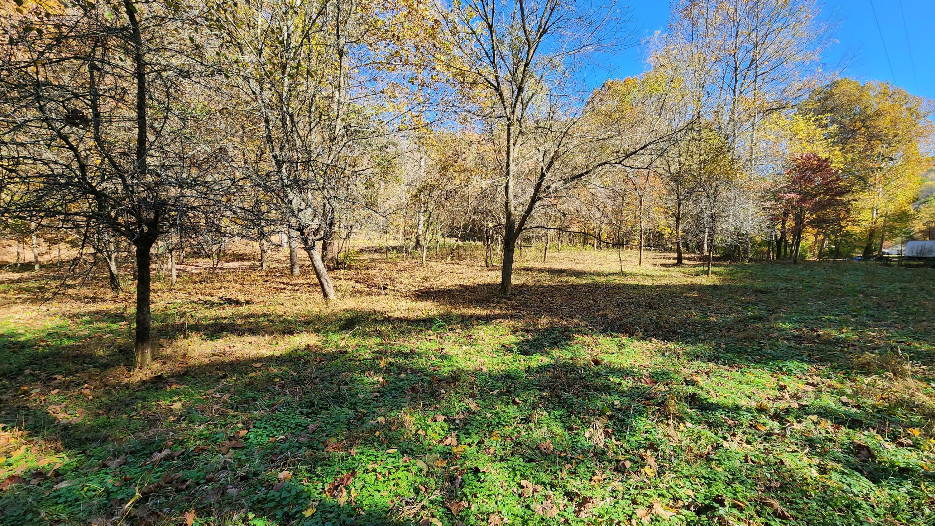 0 Vandergriff Road, Unit TRACT 6) South Bloomingville, OH 43152 - Photo 56 of 59 20231023_141919