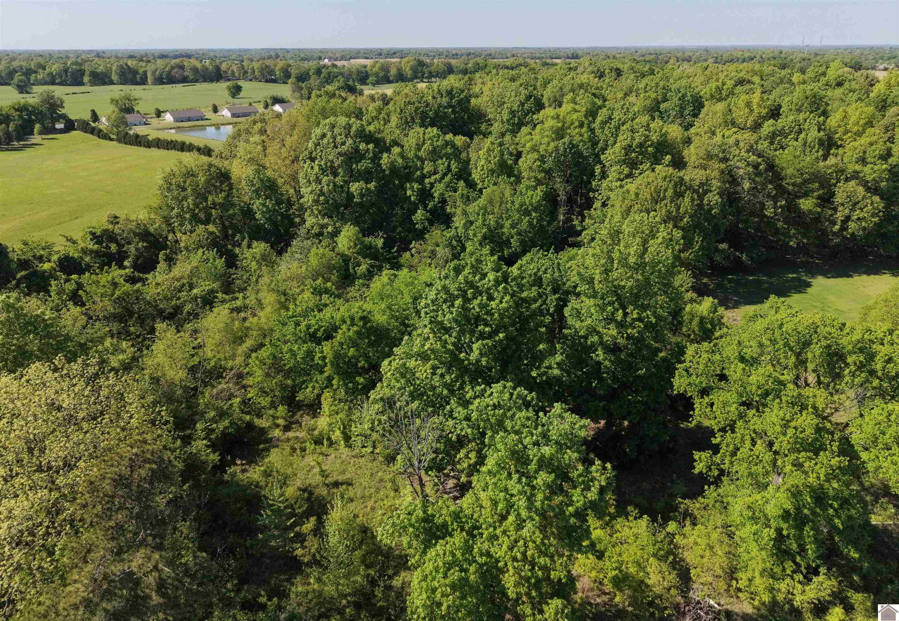 8855 Harris Road West Paducah, KY 42086 - Photo 13 of 13 Photo 13