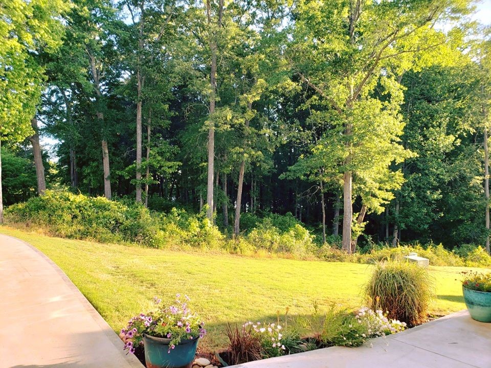 105 Riviera Circle Anderson, SC 29621 - Photo 3 of 28 Gallery Image 3