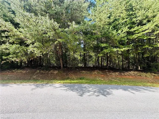 $25,000 | 175 Lakewood Court, New London, NC 28127