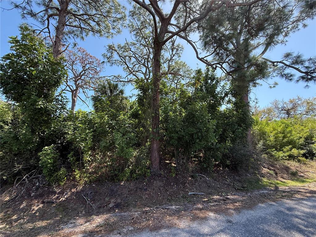 Kimball Road Venice, FL 34293 - Photo 2 of 3