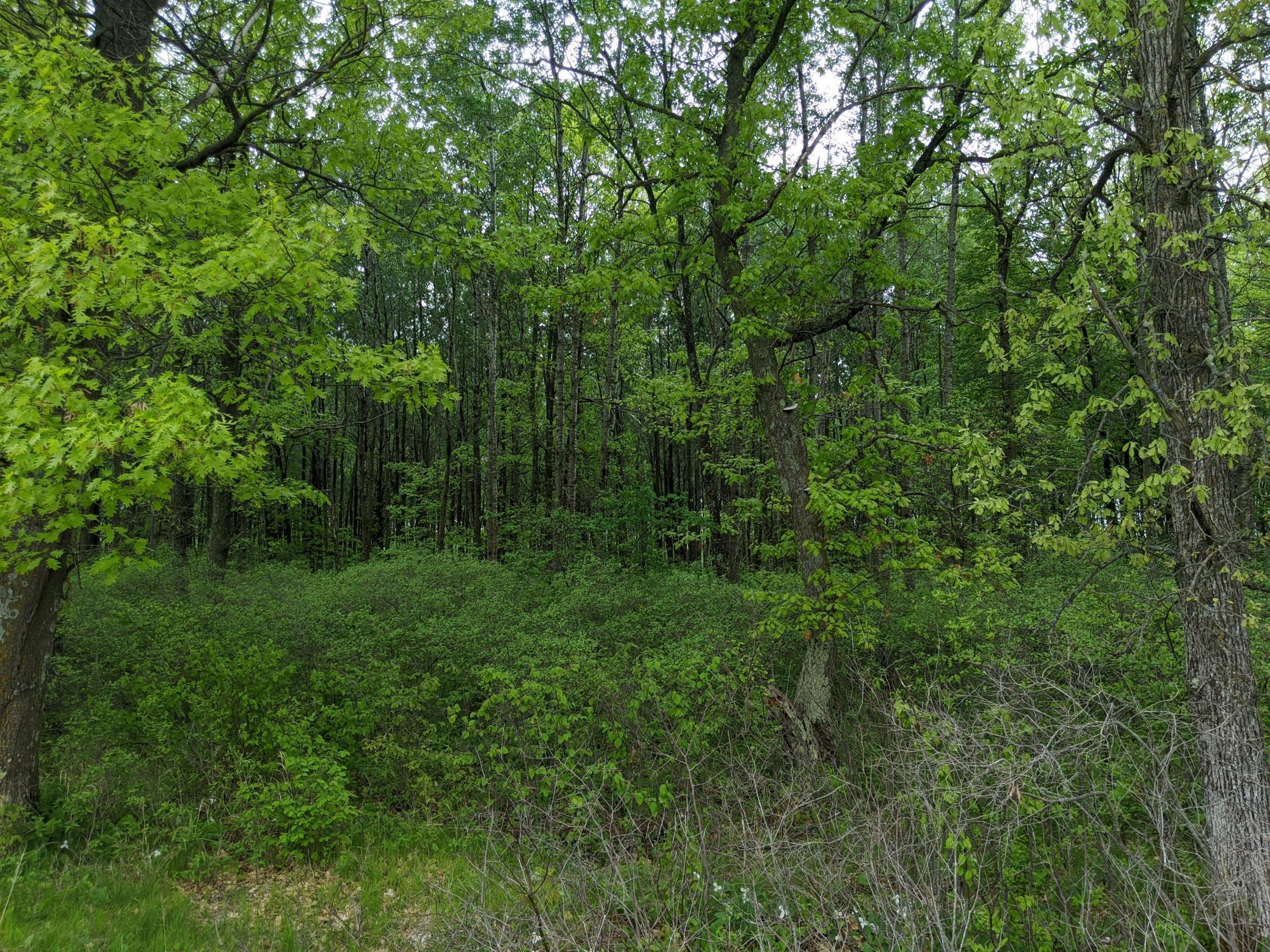 2 County Road 2 Brainerd, MN 56401 - Photo 1 of 1 Gallery Image 1
