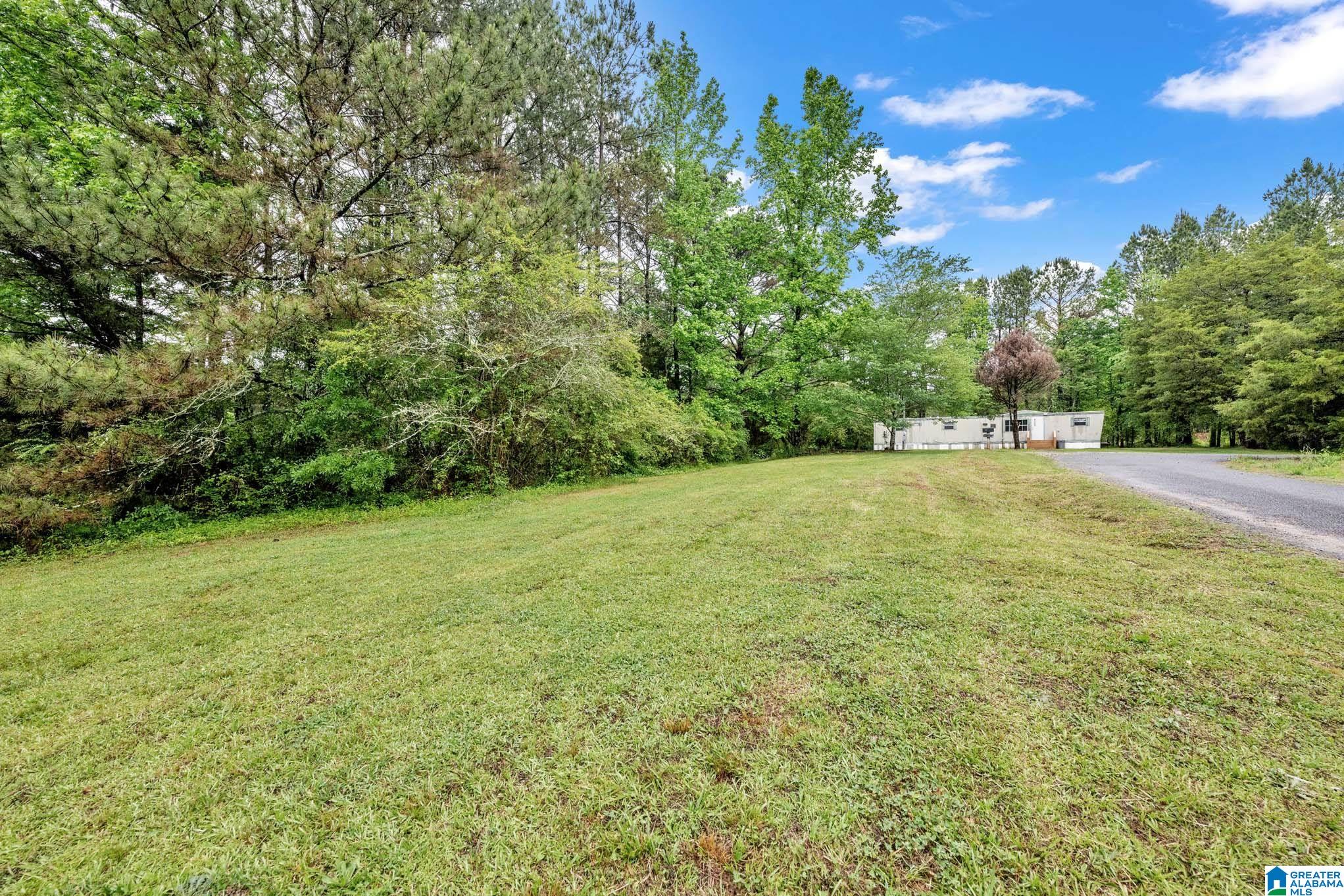 288 Plemons Road Attalla, AL 35954 - Photo 32 of 54