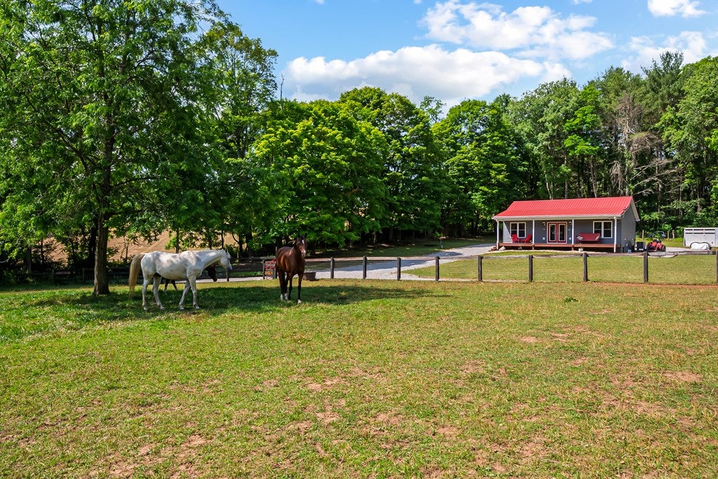 1610 Pope Road Ivanhoe, VA 24350 - Photo 60 of 93 Gallery Image 60