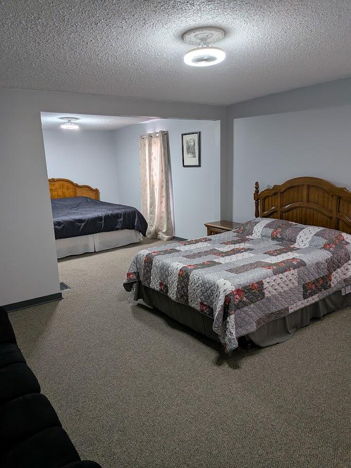 7202 21 Mile Road Evart, MI 49631 - Photo 34 of 64 up br 3