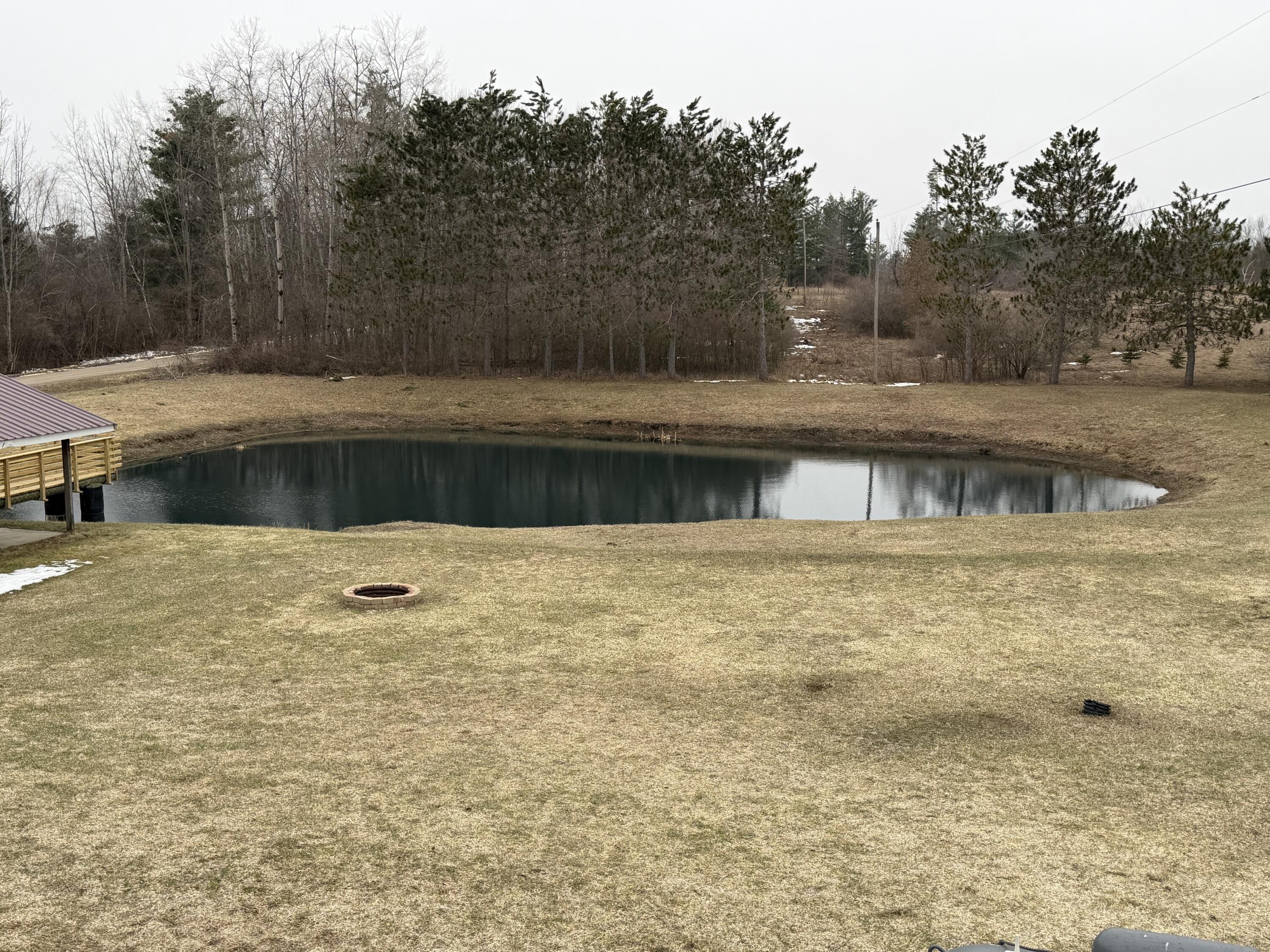 7202 21 Mile Road Evart, MI 49631 - Photo 46 of 64 Pond