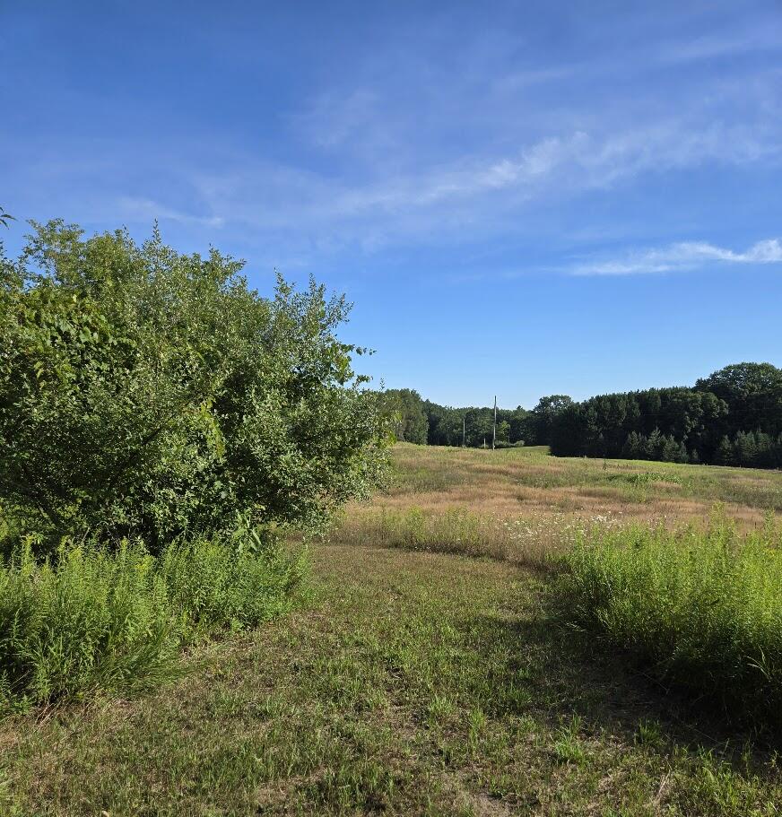 7202 21 Mile Road Evart, MI 49631 - Photo 53 of 64 property 5
