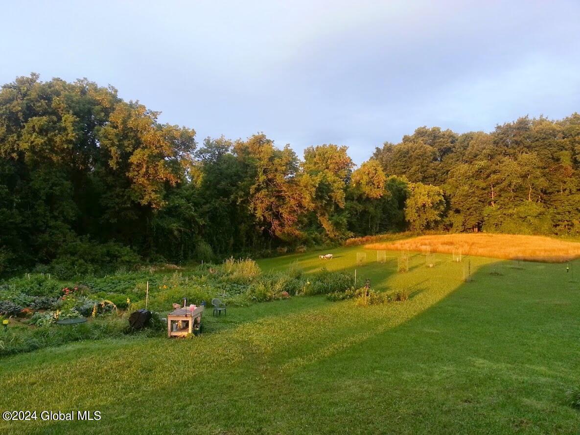 501 Dean Road Kingsbury, NY 12839 - Photo 52 of 74 Full garden view