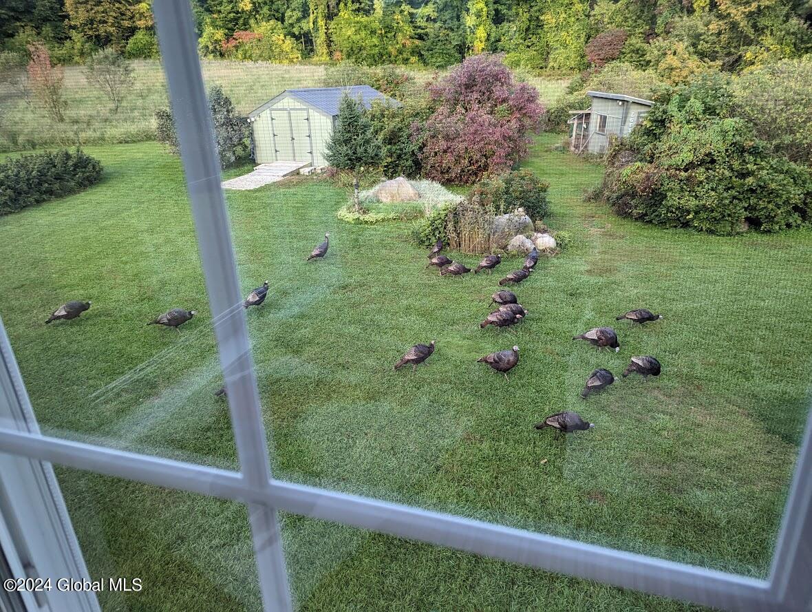 501 Dean Road Kingsbury, NY 12839 - Photo 65 of 74 Turkey