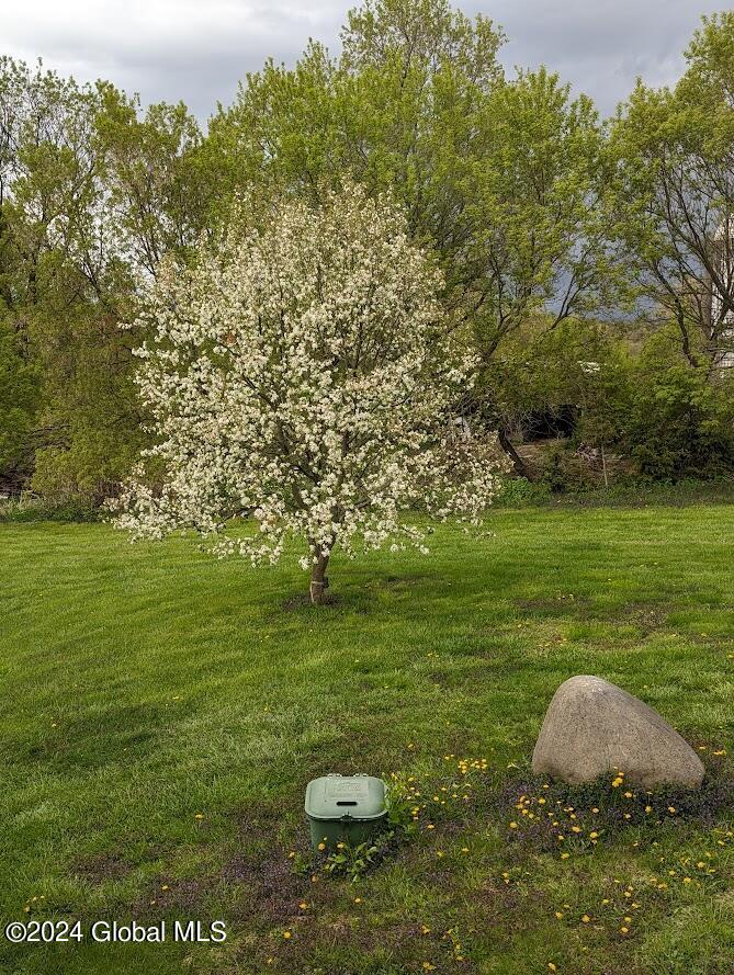 501 Dean Road Kingsbury, NY 12839 - Photo 72 of 74 Spring in bloom
