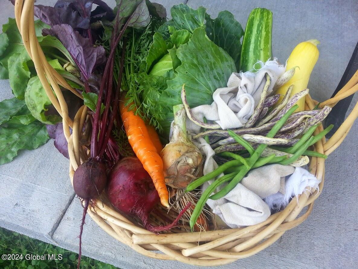 501 Dean Road Kingsbury, NY 12839 - Photo 73 of 74 Vegetable basket
