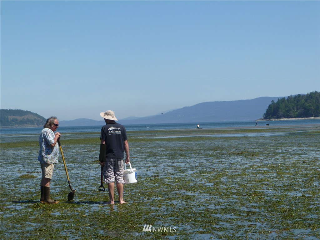 5426 Guemes Island Road Anacortes, WA 98221 - Photo 35 of 40 Gallery Image 35