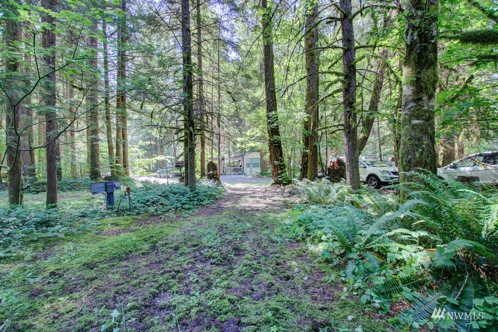 7-1 Goldrush Road Deming, WA 98244 - Photo 26 of 38 Gallery Image 26