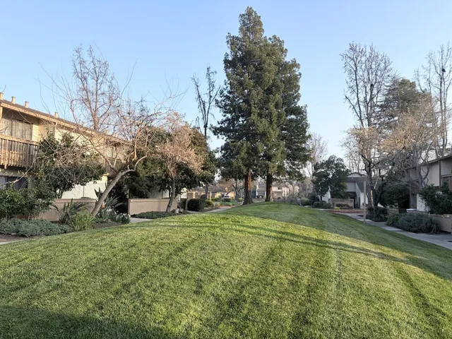 $3,295 | 1975 Olmo Way, Walnut Creek, CA 94598