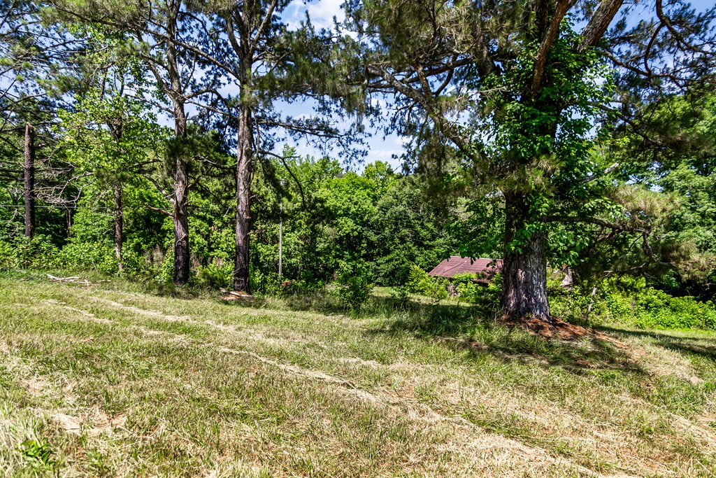 773 Fairview Road Jasper, GA 30143 - Photo 31 of 73