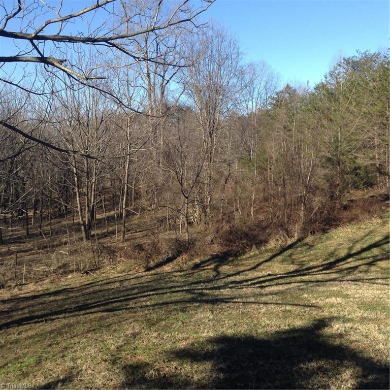 2716 Prison Camp Road Dobson, NC 27017 - Photo 4 of 21 Land behind house