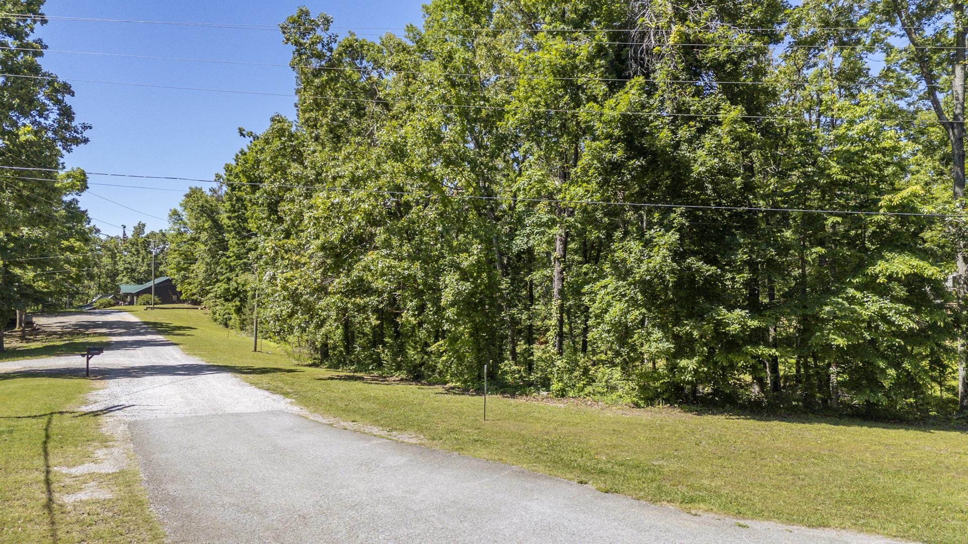 0 Cottage Grove Road Counce, TN 38326 - Photo 4 of 14