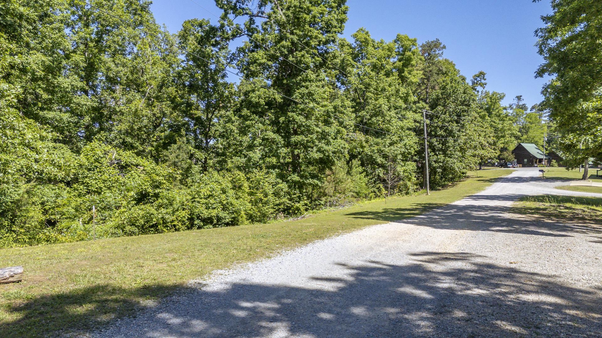 0 Cottage Grove Road Counce, TN 38326 - Photo 5 of 14 a view of a yard with a tree