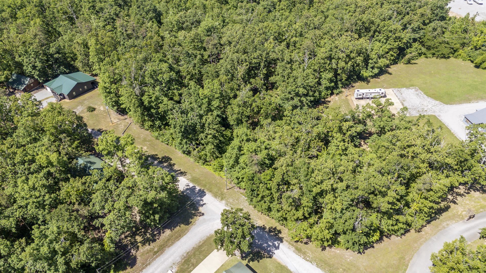 0 Cottage Grove Road Counce, TN 38326 - Photo 9 of 14 a view of a garden with a tree