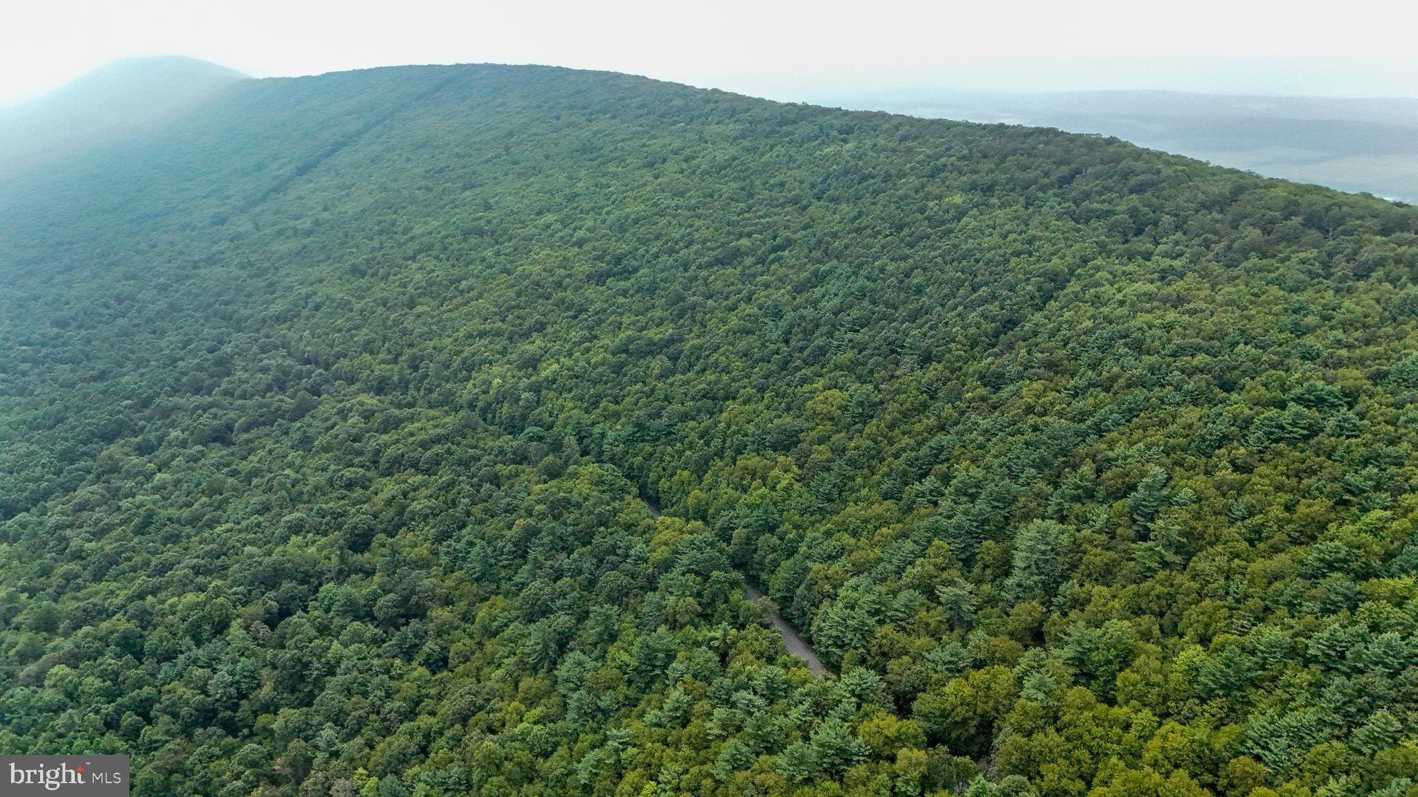 Mountain Road James Creek, PA 16657 - Photo 7 of 27 Lush green hills embrace the horizon.