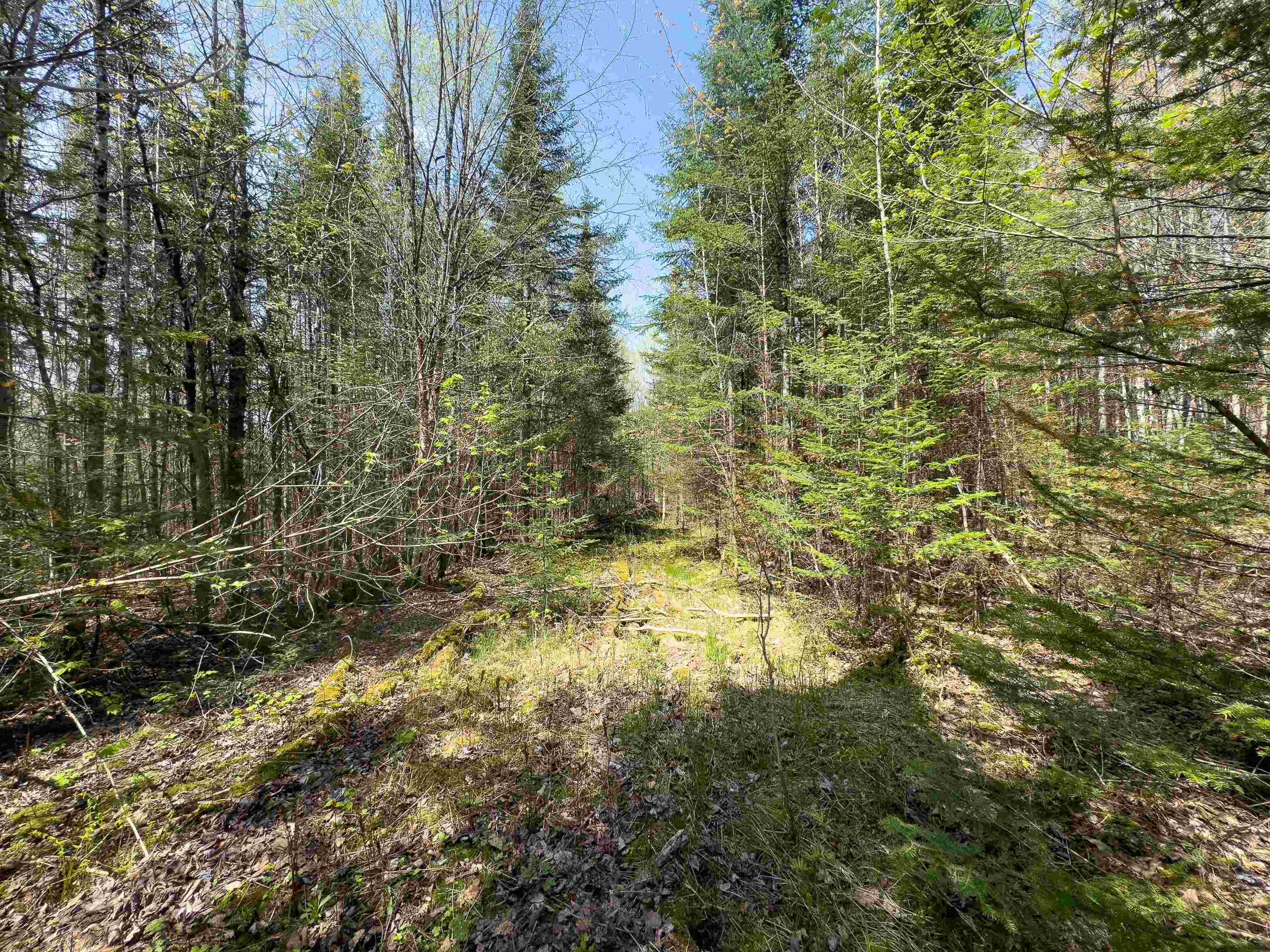 538 Oregon Road Concord, VT 05906 - Photo 2 of 16