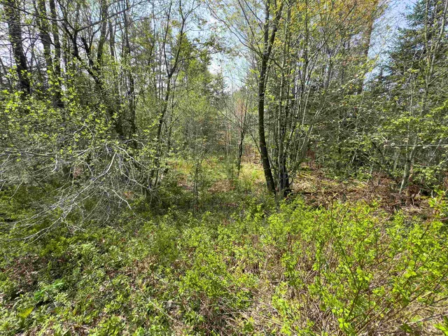 $81,500 | 538 Oregon Road, Concord, VT 05906