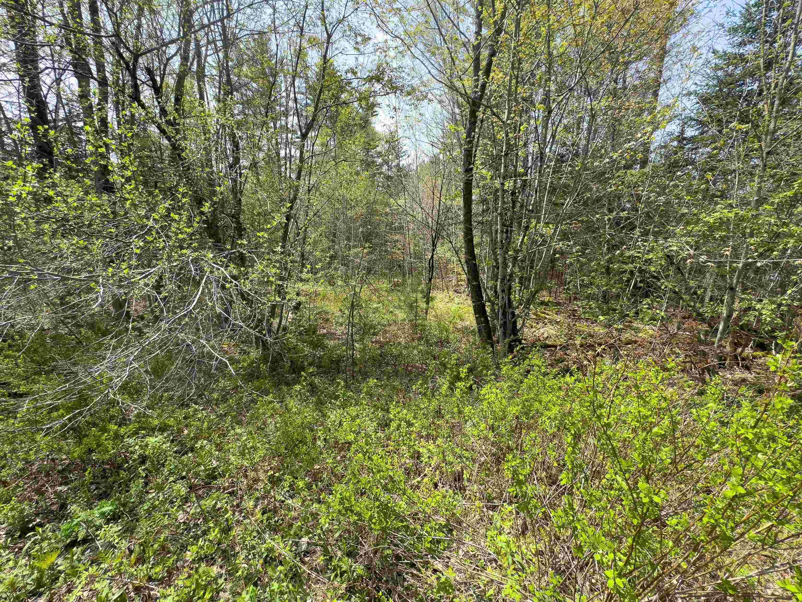 538 Oregon Road Concord, VT 05906 - Photo 4 of 16