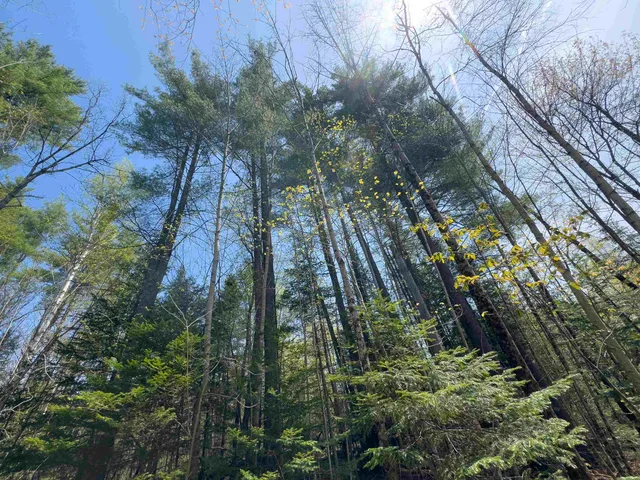 $81,500 | 538 Oregon Road, Concord, VT 05906