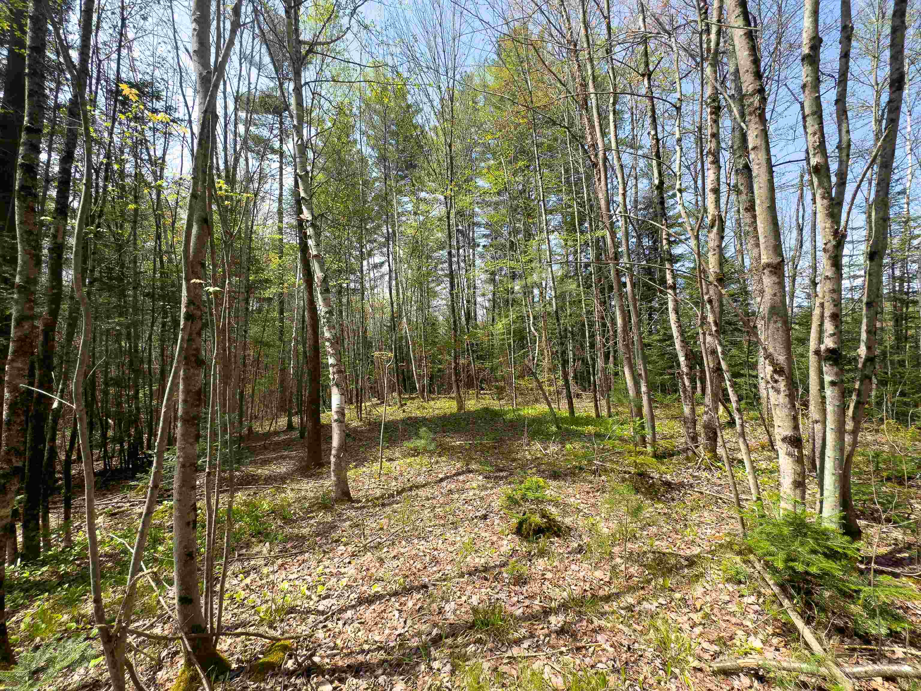 538 Oregon Road Concord, VT 05906 - Photo 6 of 16