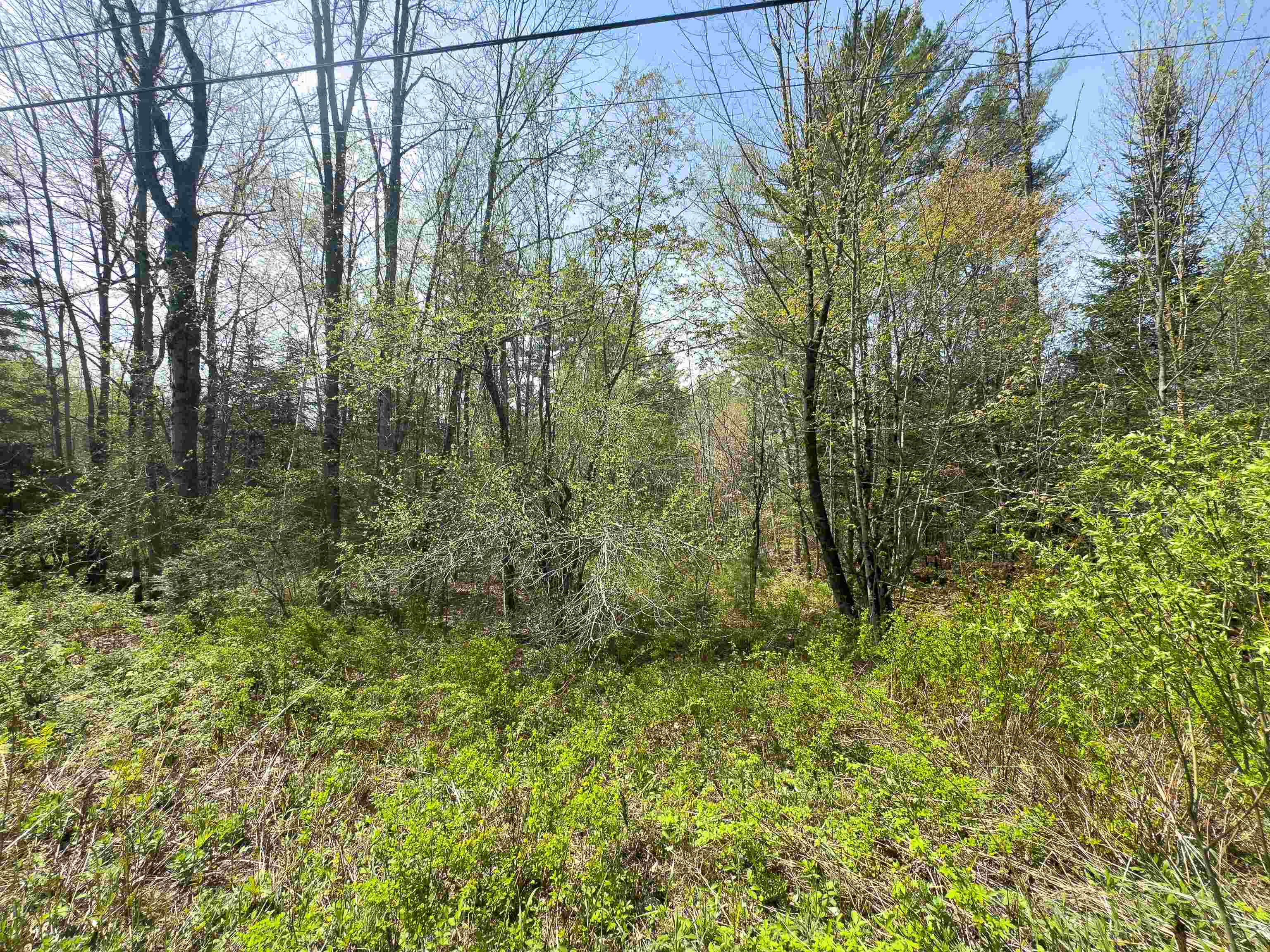 538 Oregon Road Concord, VT 05906 - Photo 7 of 16