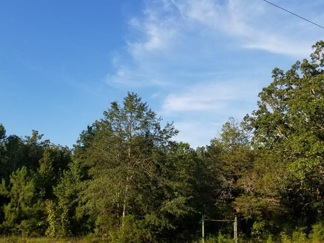 525 Hadley Road Pine Mountain, GA 31822 - Photo 1 of 9 Main View