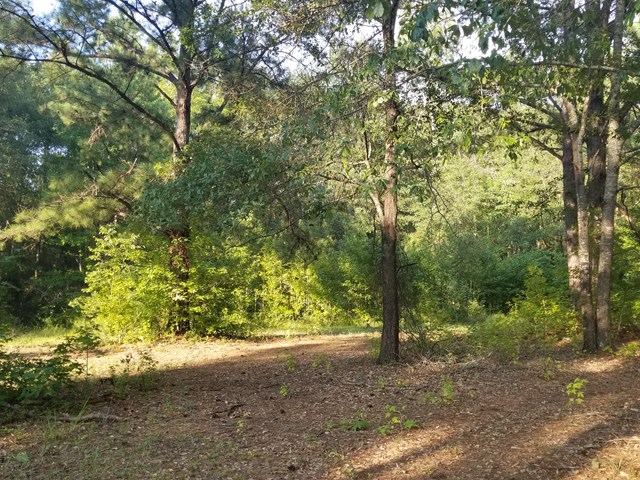 525 Hadley Road Pine Mountain, GA 31822 - Photo 5 of 9 Gallery Image 5