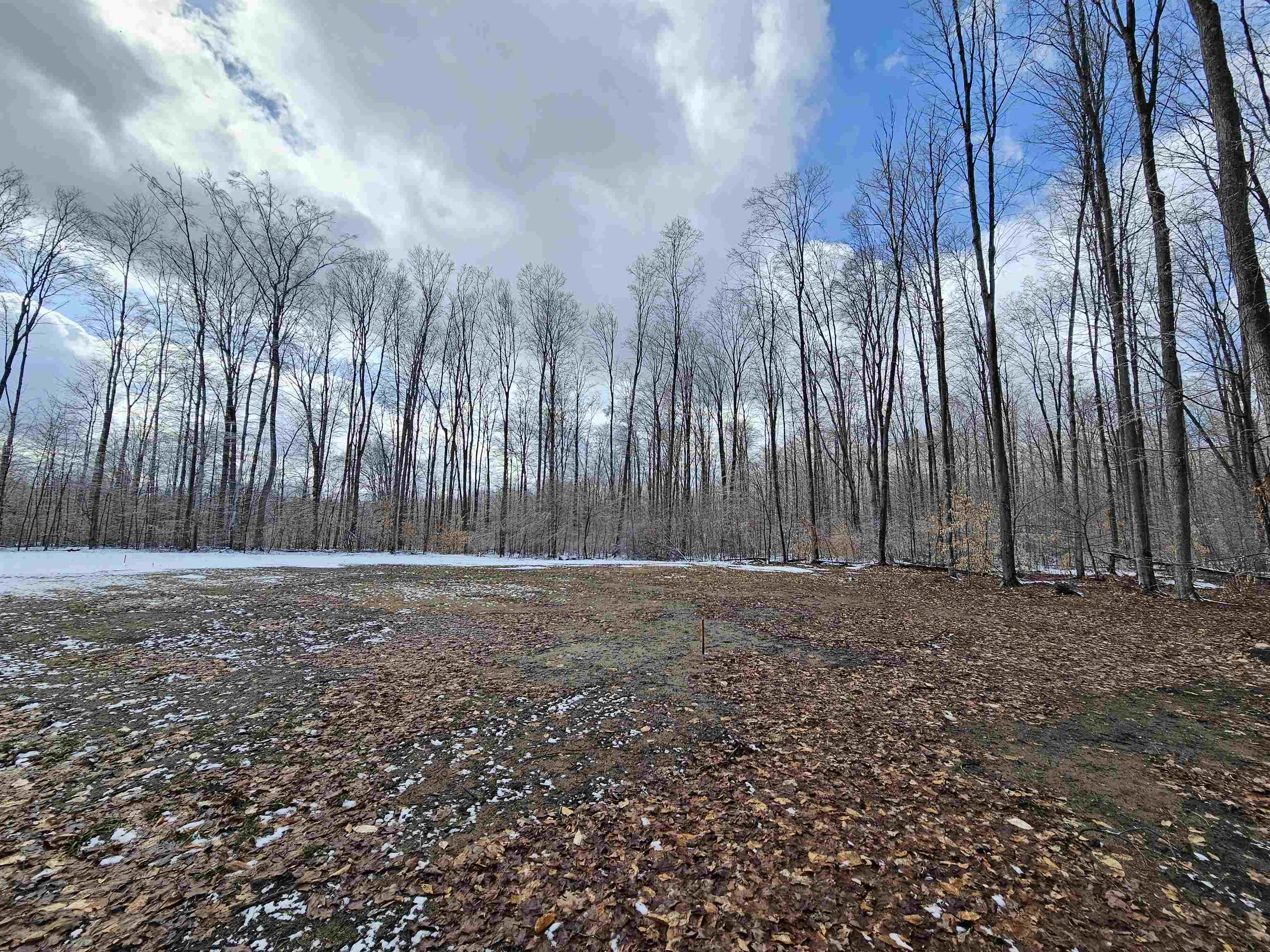 361 West Rhoby Road Lake City, MI 49651 - Photo 4 of 13 Gallery Image 4