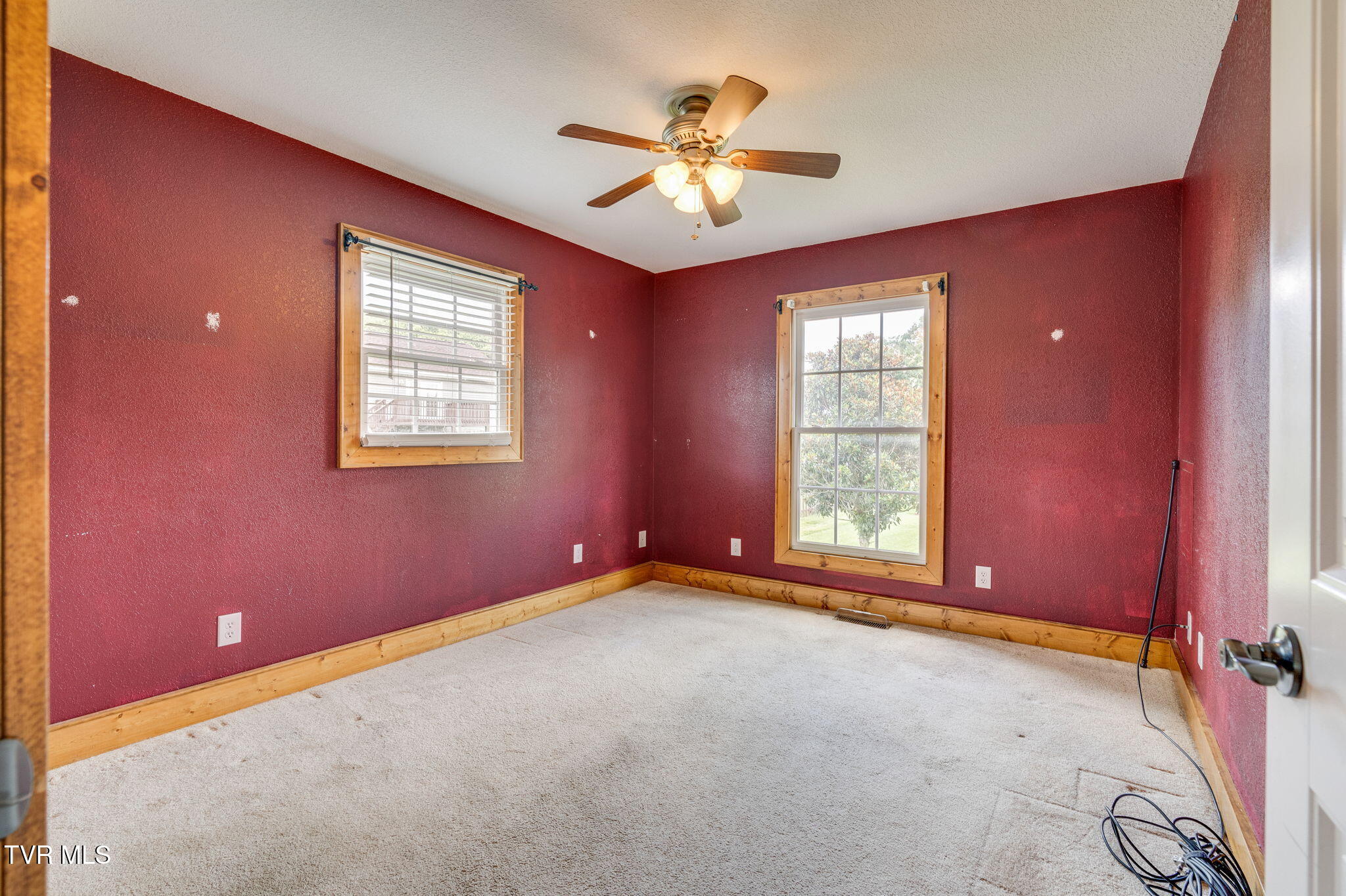 234 Reed Avenue Greeneville, TN 37743 - Photo 16 of 36 015