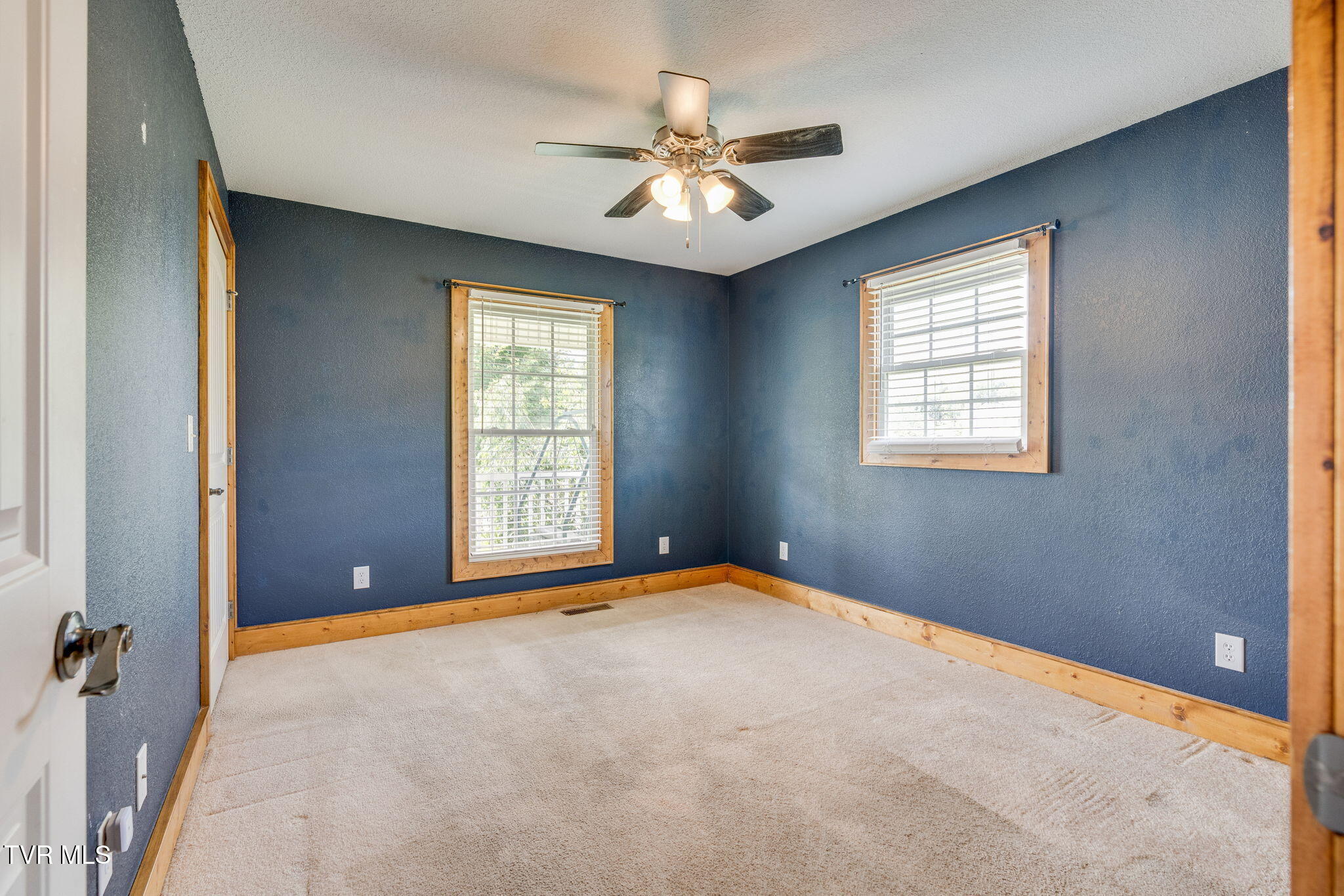 234 Reed Avenue Greeneville, TN 37743 - Photo 19 of 36 018