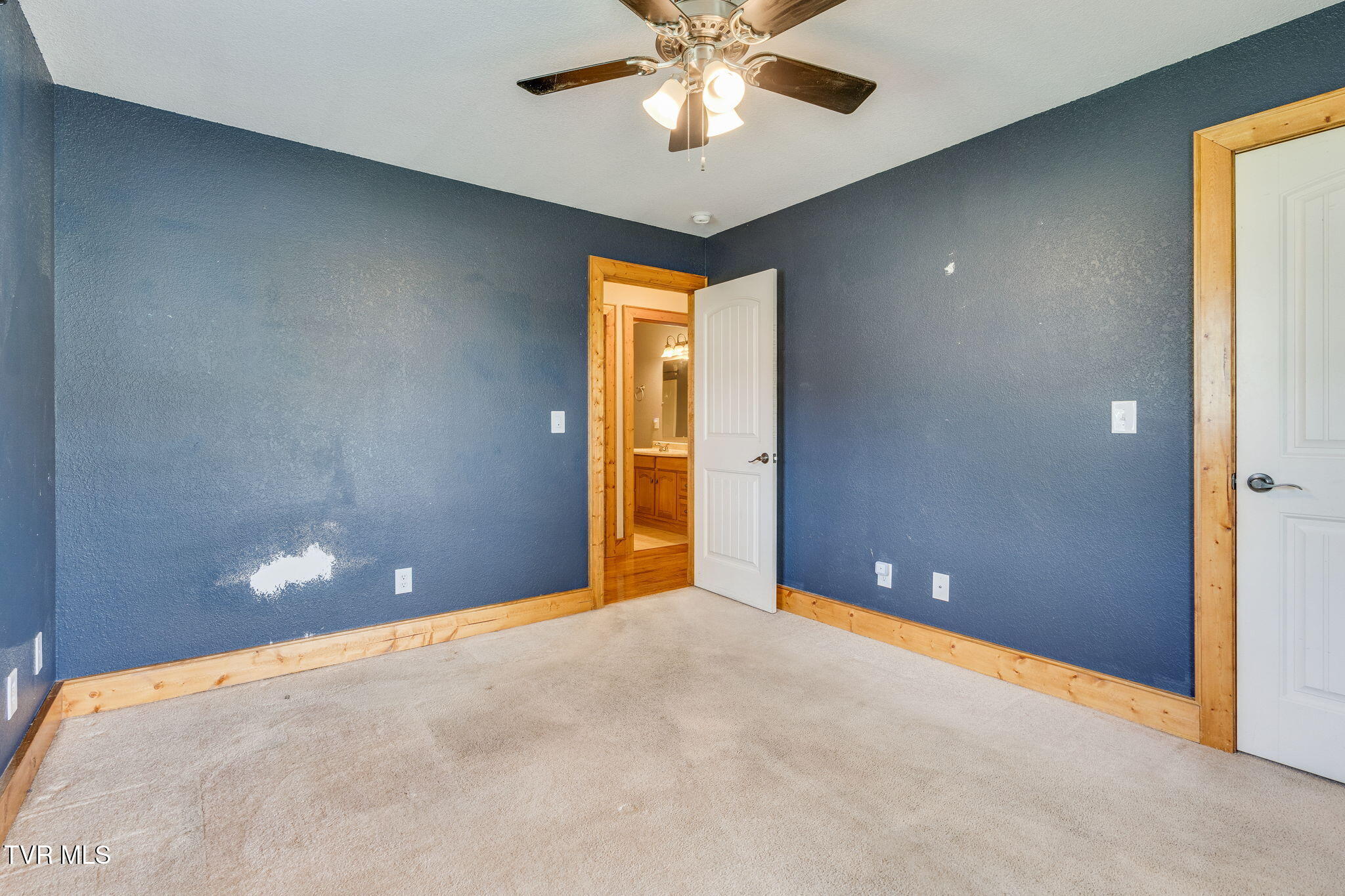 234 Reed Avenue Greeneville, TN 37743 - Photo 20 of 36 019