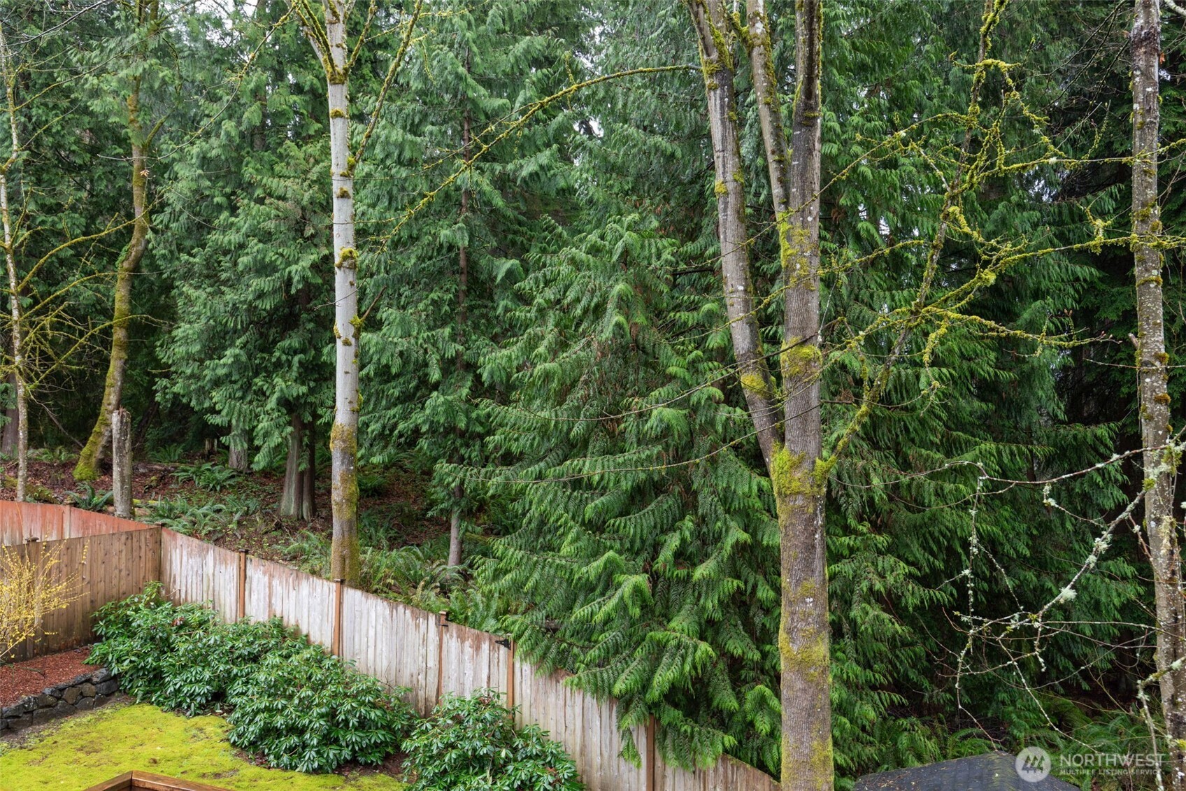 2408 208th Place Southeast Bothell, WA 98021 - Photo 28 of 36