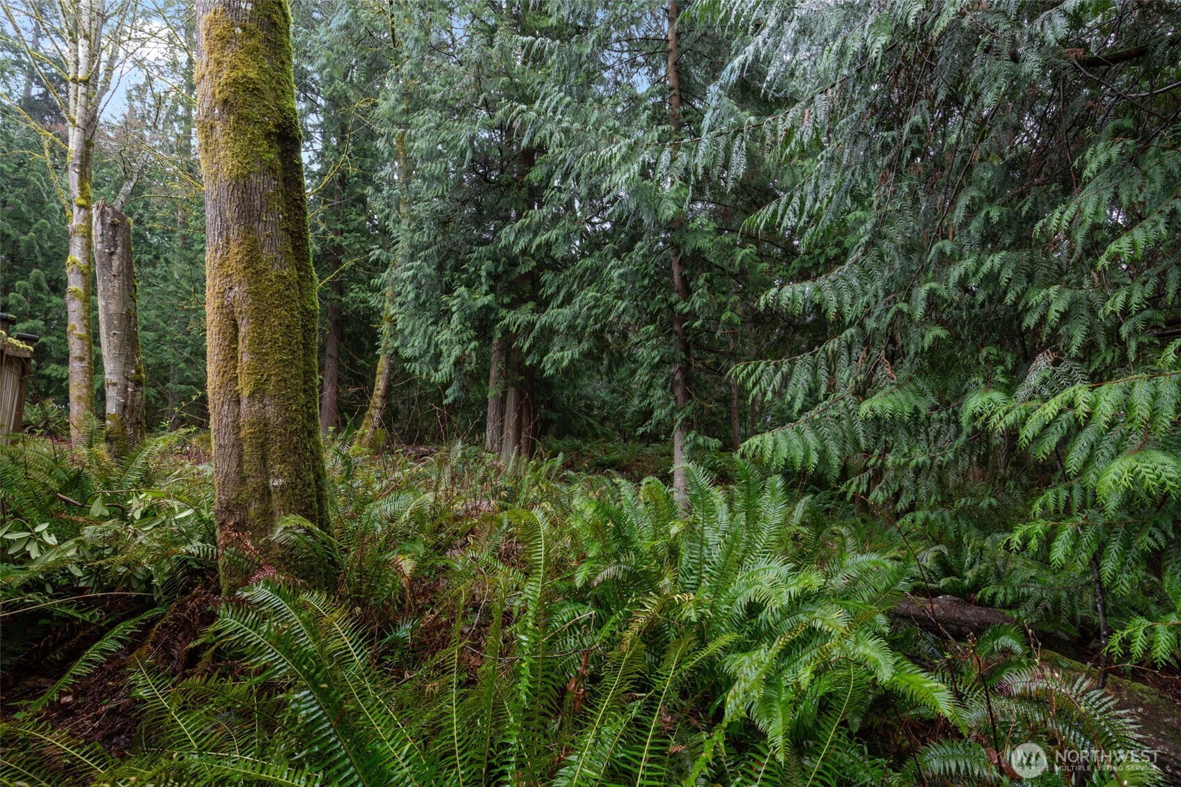 2408 208th Place Southeast Bothell, WA 98021 - Photo 33 of 36