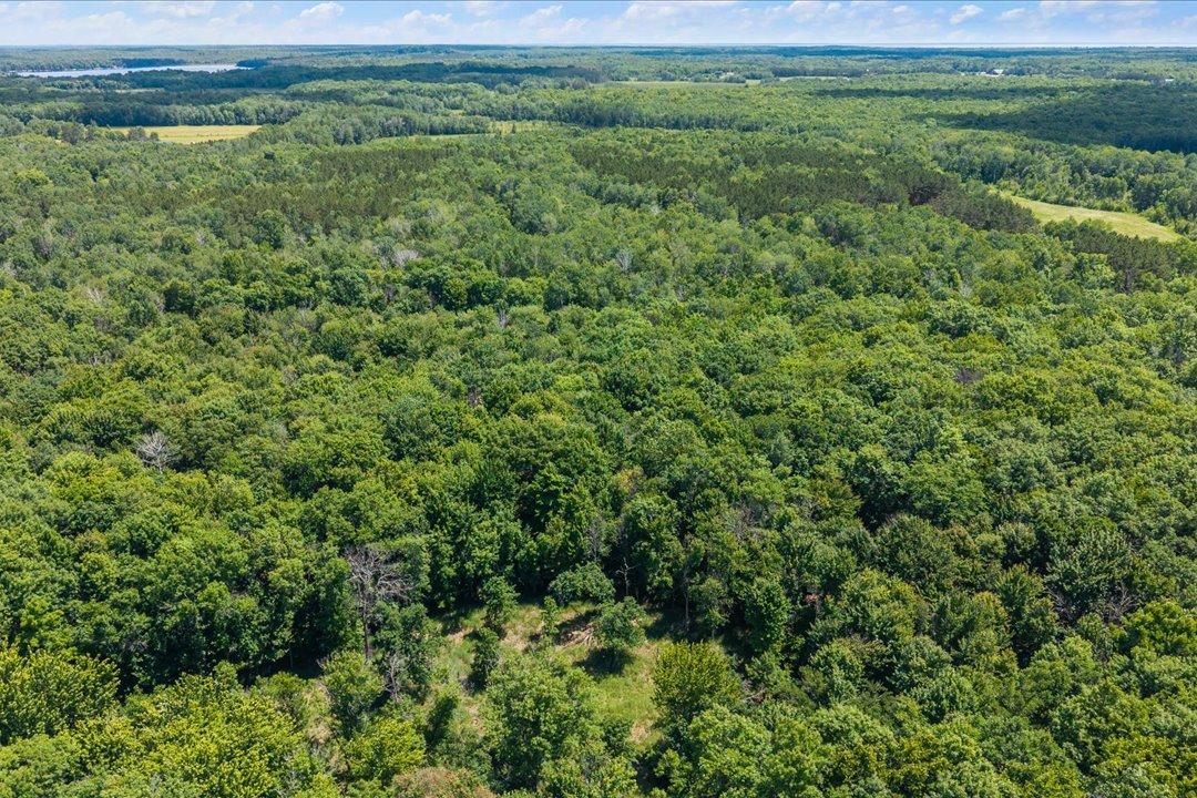 Tract B Maghan Road Deerwood, MN 56444 - Photo 9 of 10